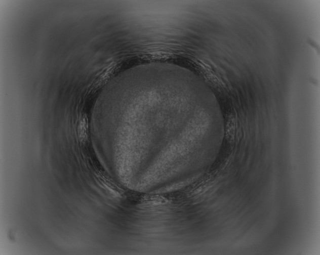 X0000091930866200709191358
