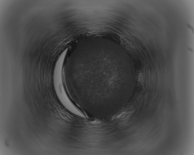 X0000091930868200709191358