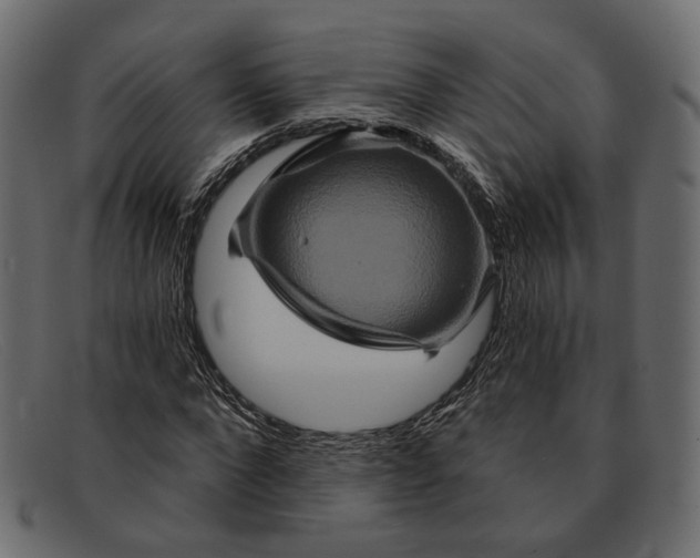 X0000091930872200709191358