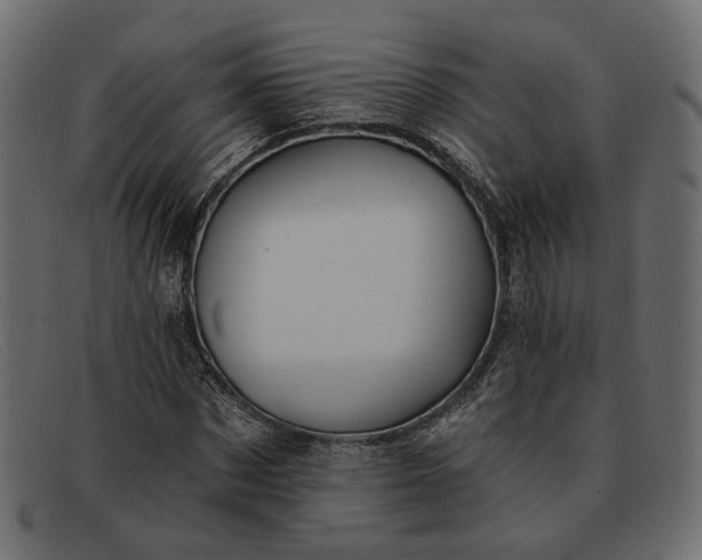 X0000091930873200709191358