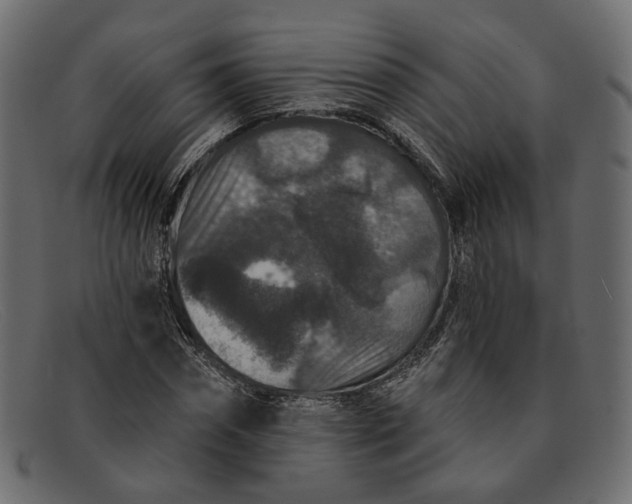 X0000091930874200709191358