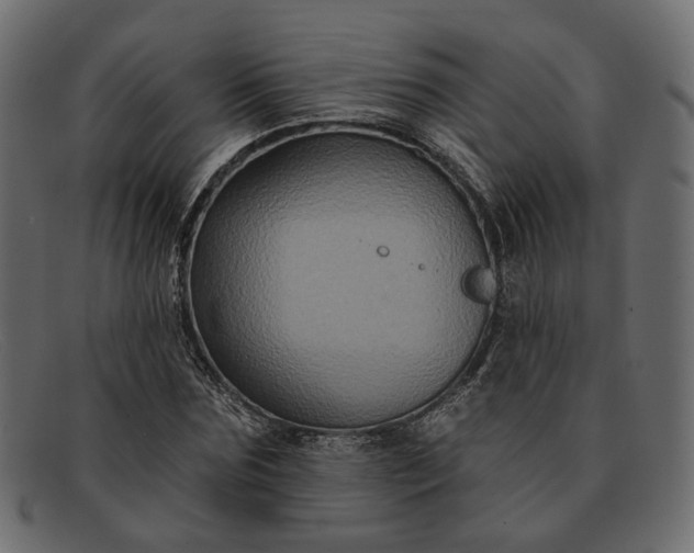 X0000091930875200709191358