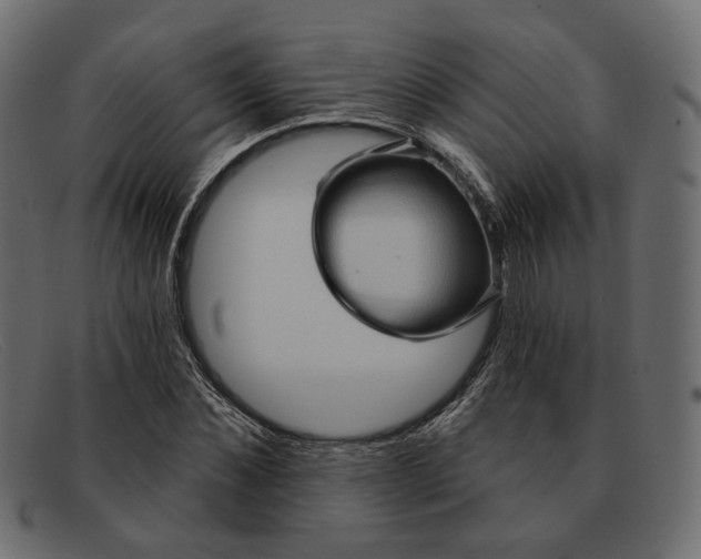 X0000091930876200709191358