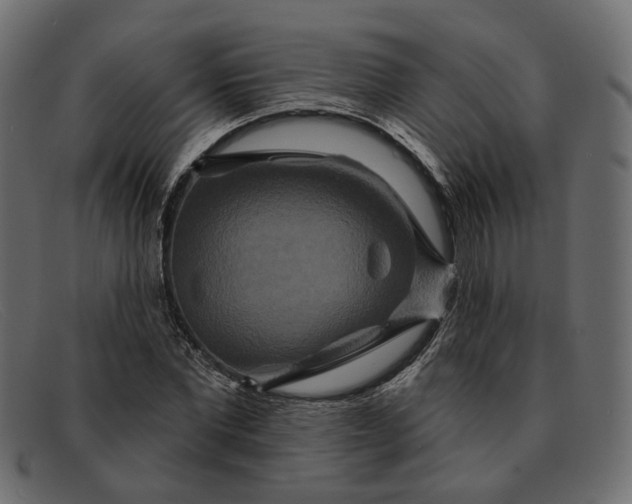 X0000091930877200709191358