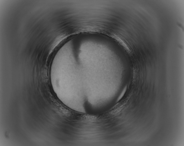 X0000091930878200709191358
