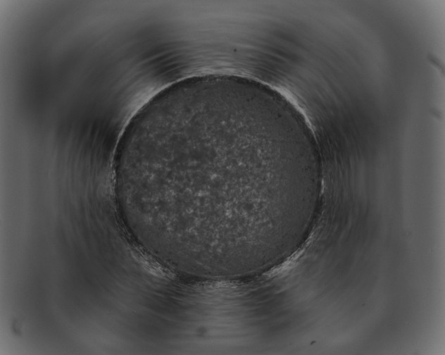 X0000091930879200709191358