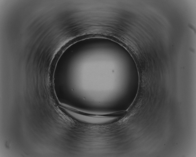 X0000091930880200709191357