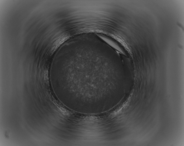 X0000091930881200709191357