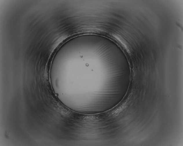 X0000091930883200709191357