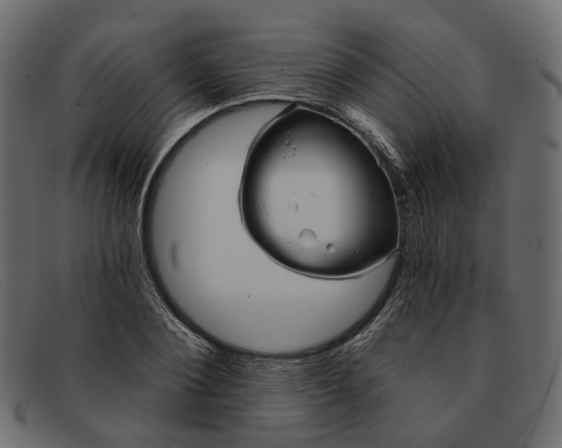 X0000091930884200709191357