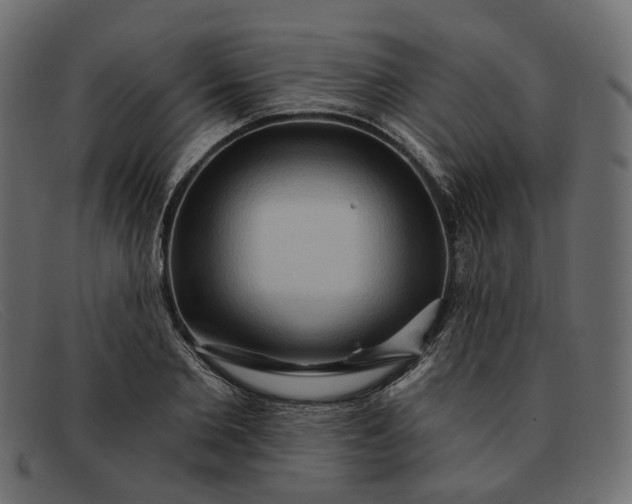 X0000091930885200709191357