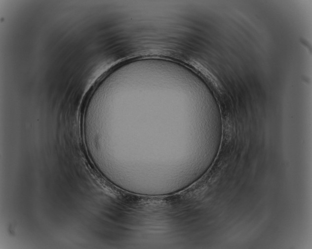 X0000091930886200709191357