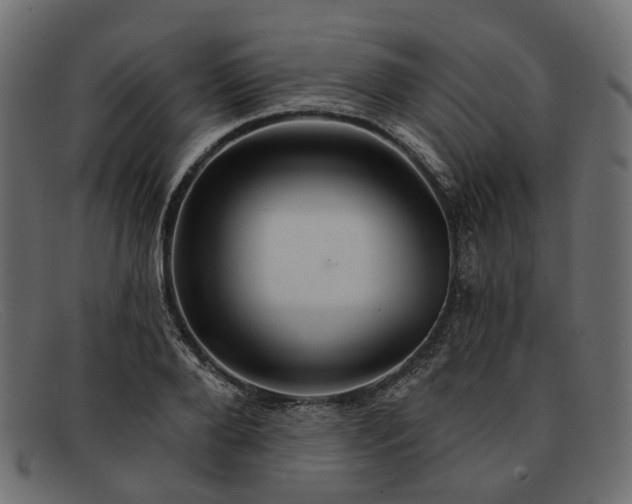 X0000091930888200709191357