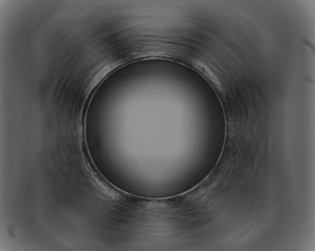 X0000091930890200709191357