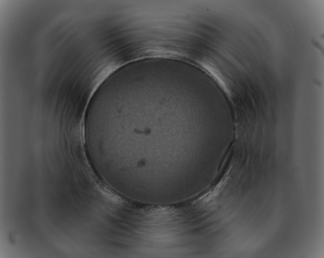 X0000091930891200709191357