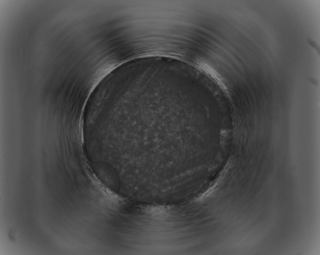 X0000091930892200709191357
