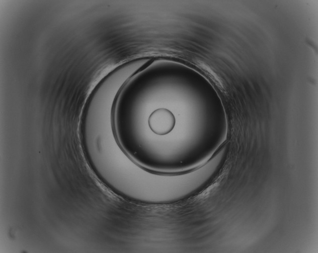 X0000091930893200709191357