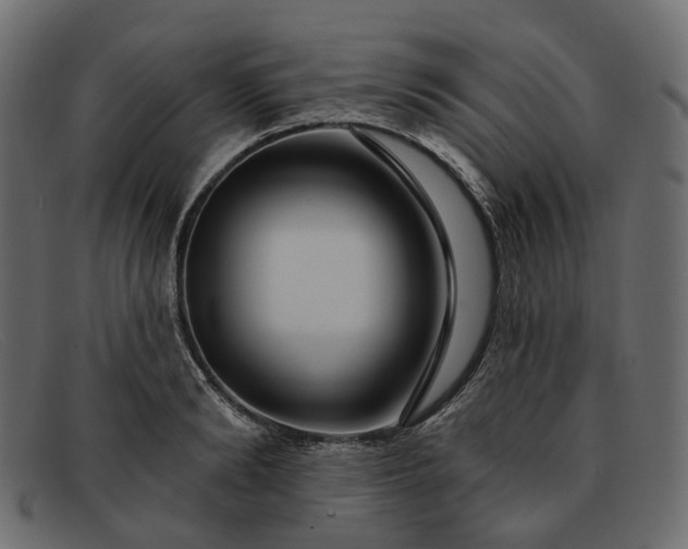 X0000091930894200709191357