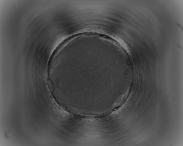X0000091930896200709191357
