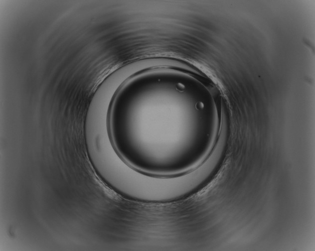 X0000091930897200709191357