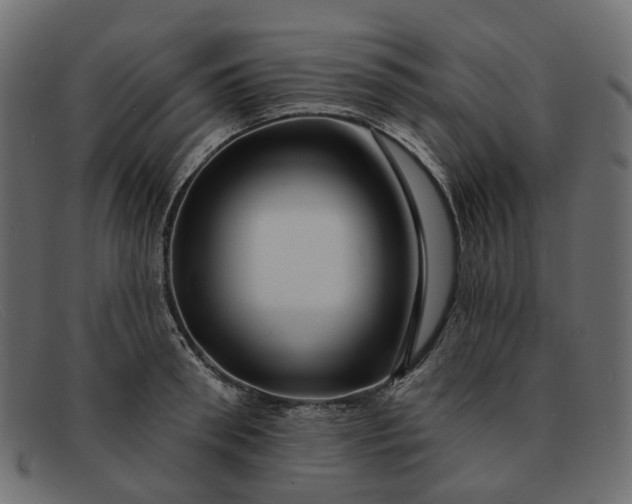 X0000091930898200709191357