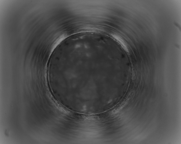 X0000091930899200709191357