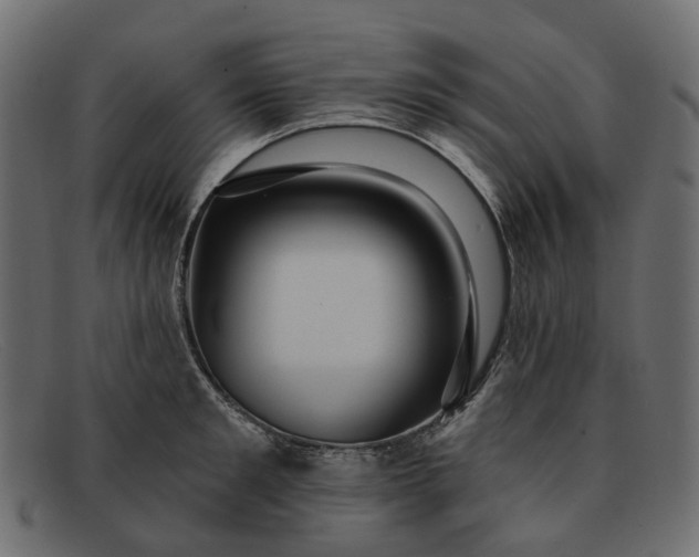 X0000091930901200709191357