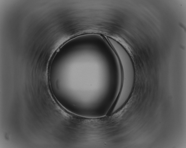 X0000091930902200709191357