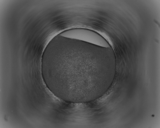 X0000091930903200709191357