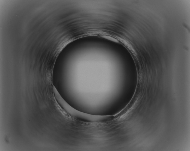 X0000091930905200709191357