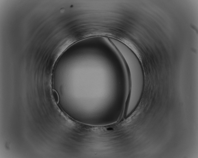 X0000091930906200709191357