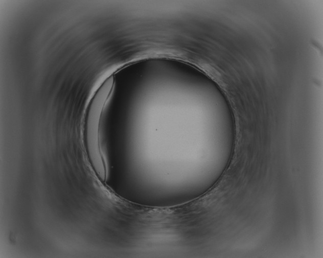 X0000091930912200709191357