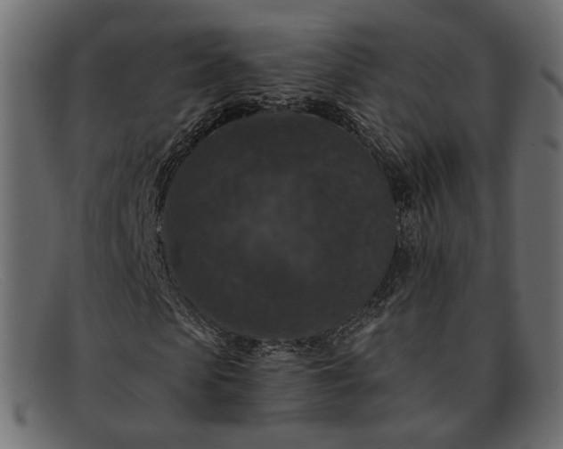 X0000091930913200709191357