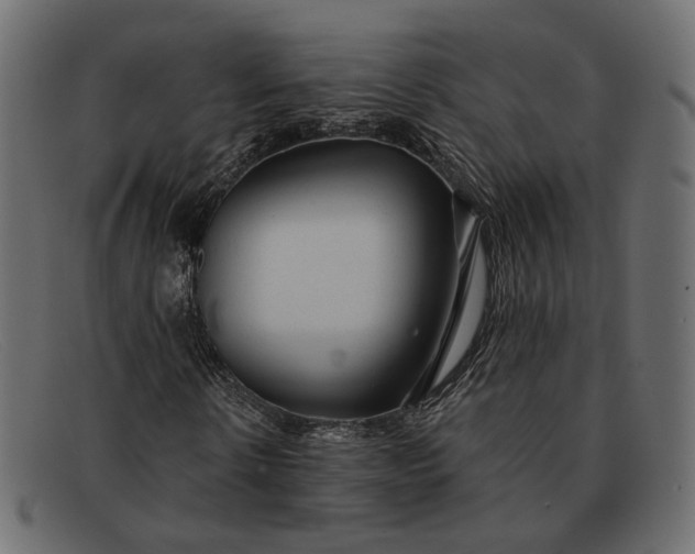 X0000091930914200709191357