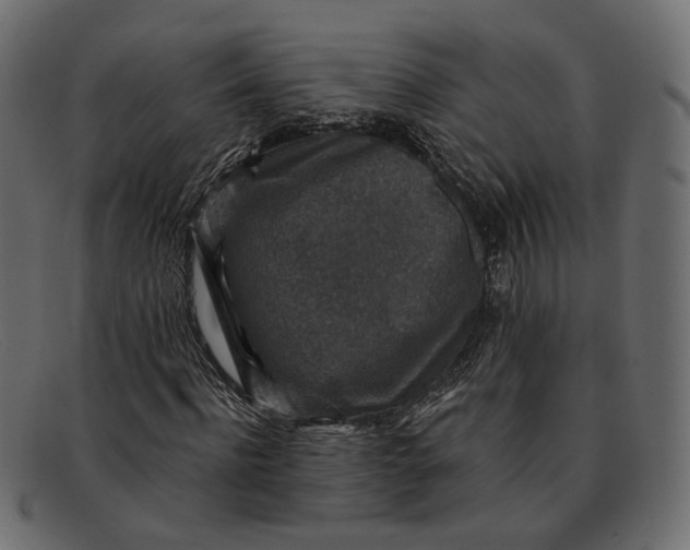 X0000091930916200709191357