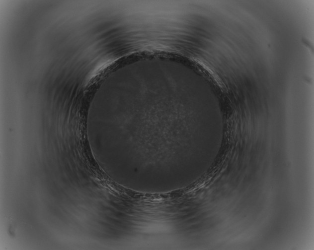 X0000091930919200709191357