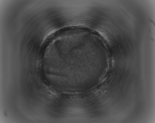 X0000091930920200709191357