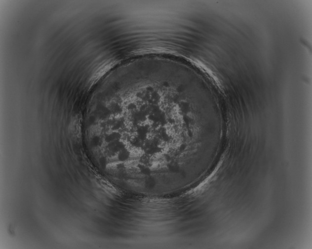 X0000091930921200709191357