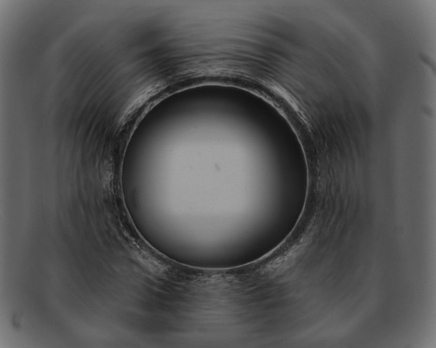 X0000091930922200709191357