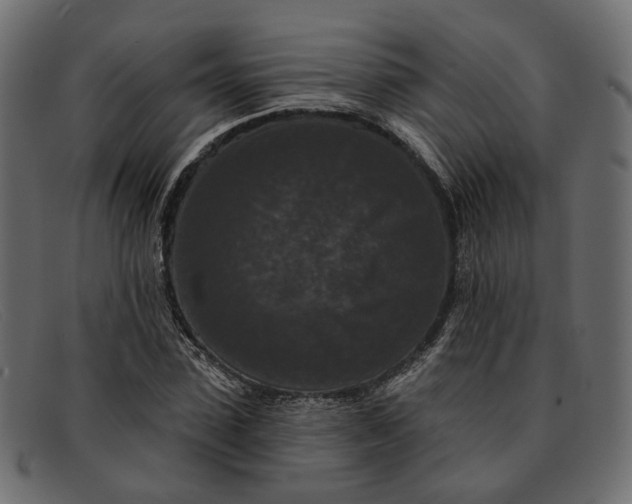 X0000091930923200709191357