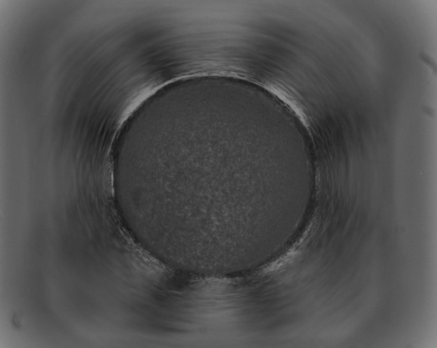 X0000091930925200709191357