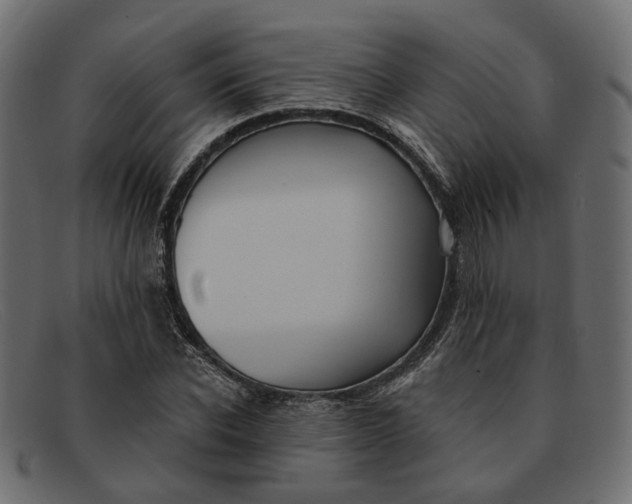 X0000091930926200709191357
