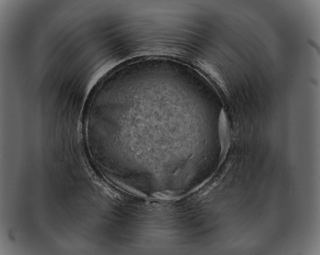 X0000091930928200709191357