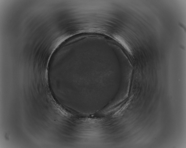 X0000091930932200709191357