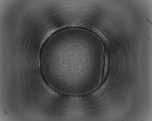 X0000091930934200709191357