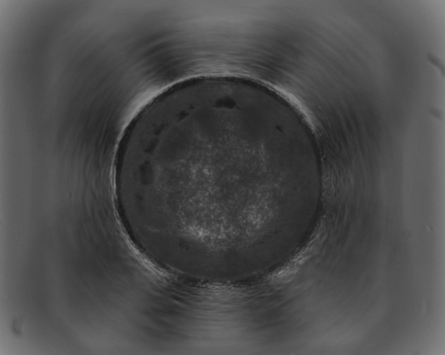 X0000091930935200709191357