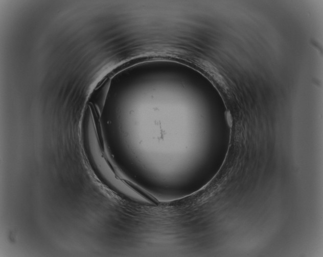 X0000091930936200709191357