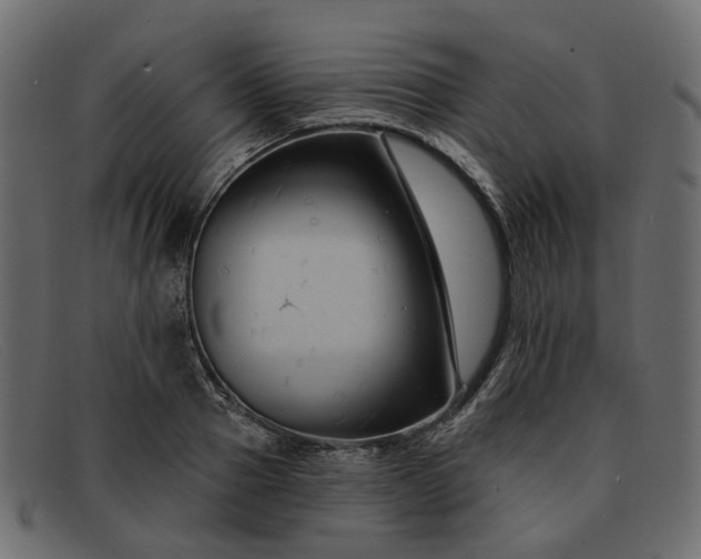 X0000091930937200709191357
