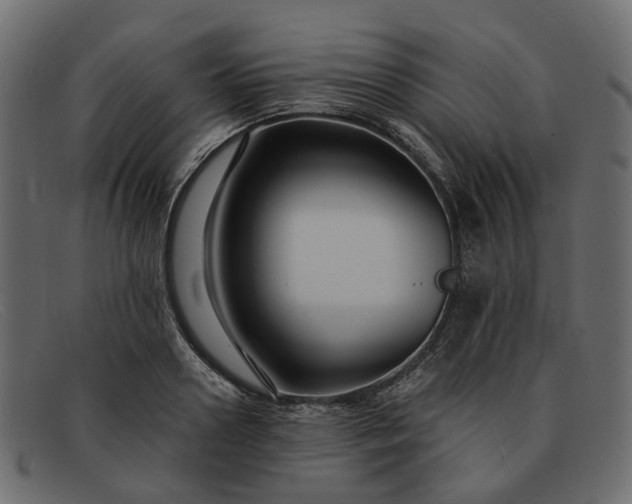 X0000091930938200709191357