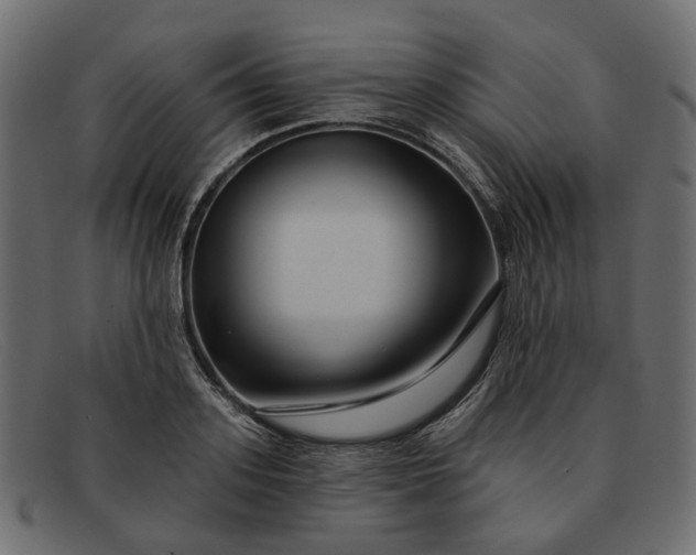 X0000091930939200709191357